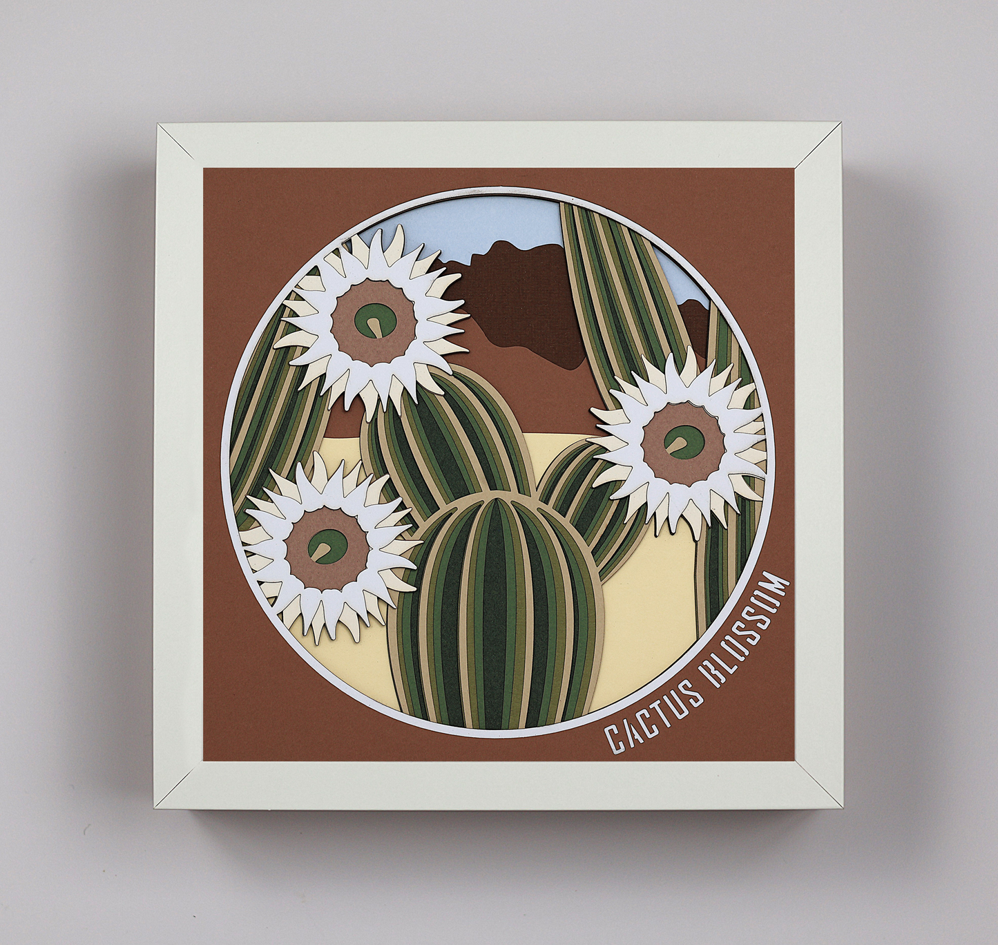 Fleurs de Cactus
