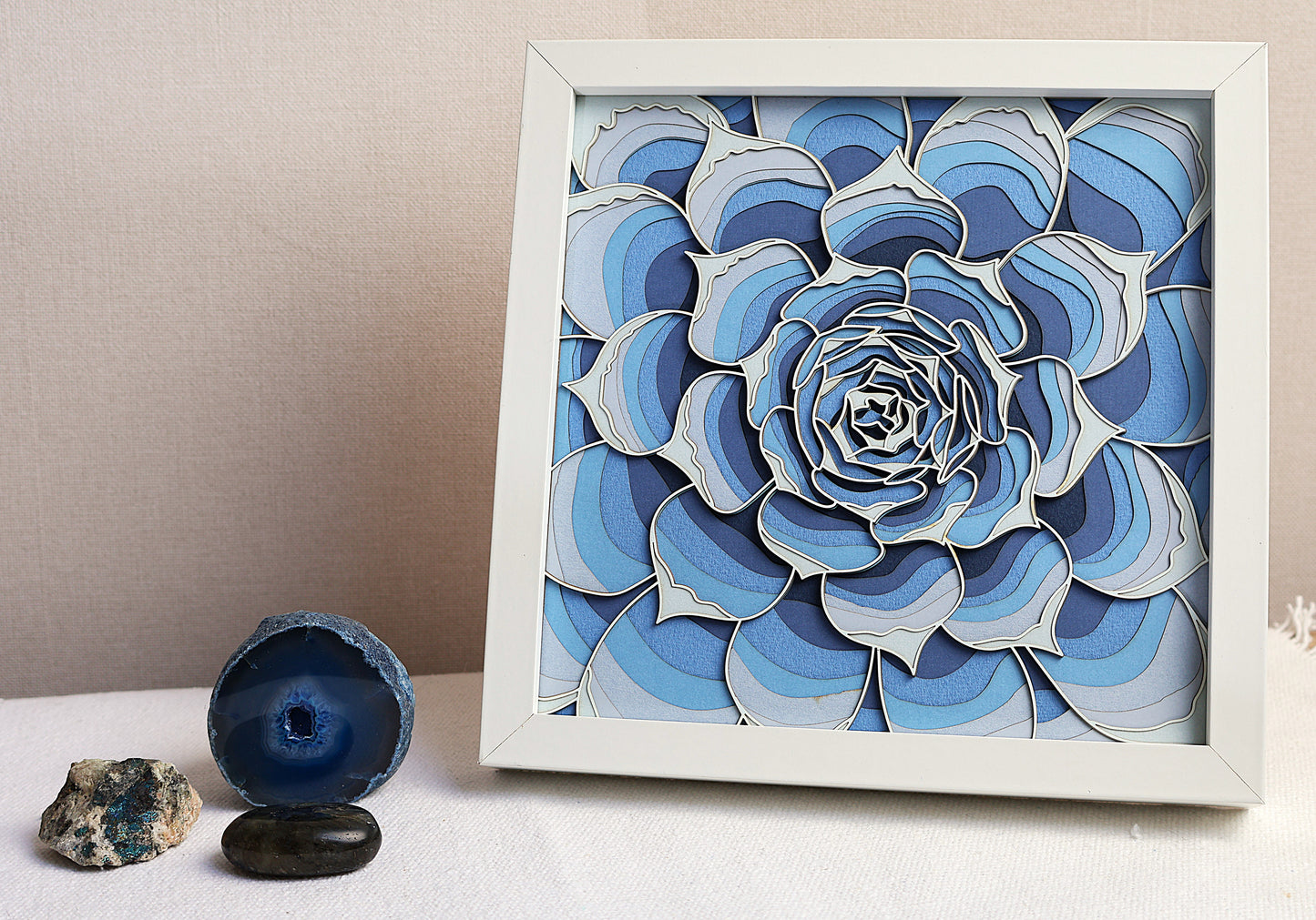 Echeveria