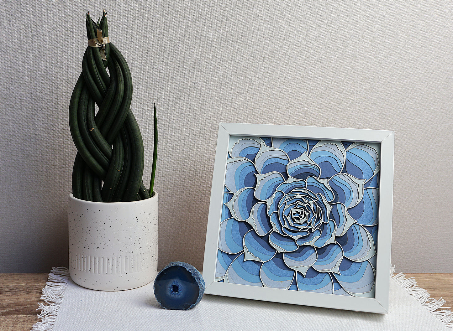 Echeveria