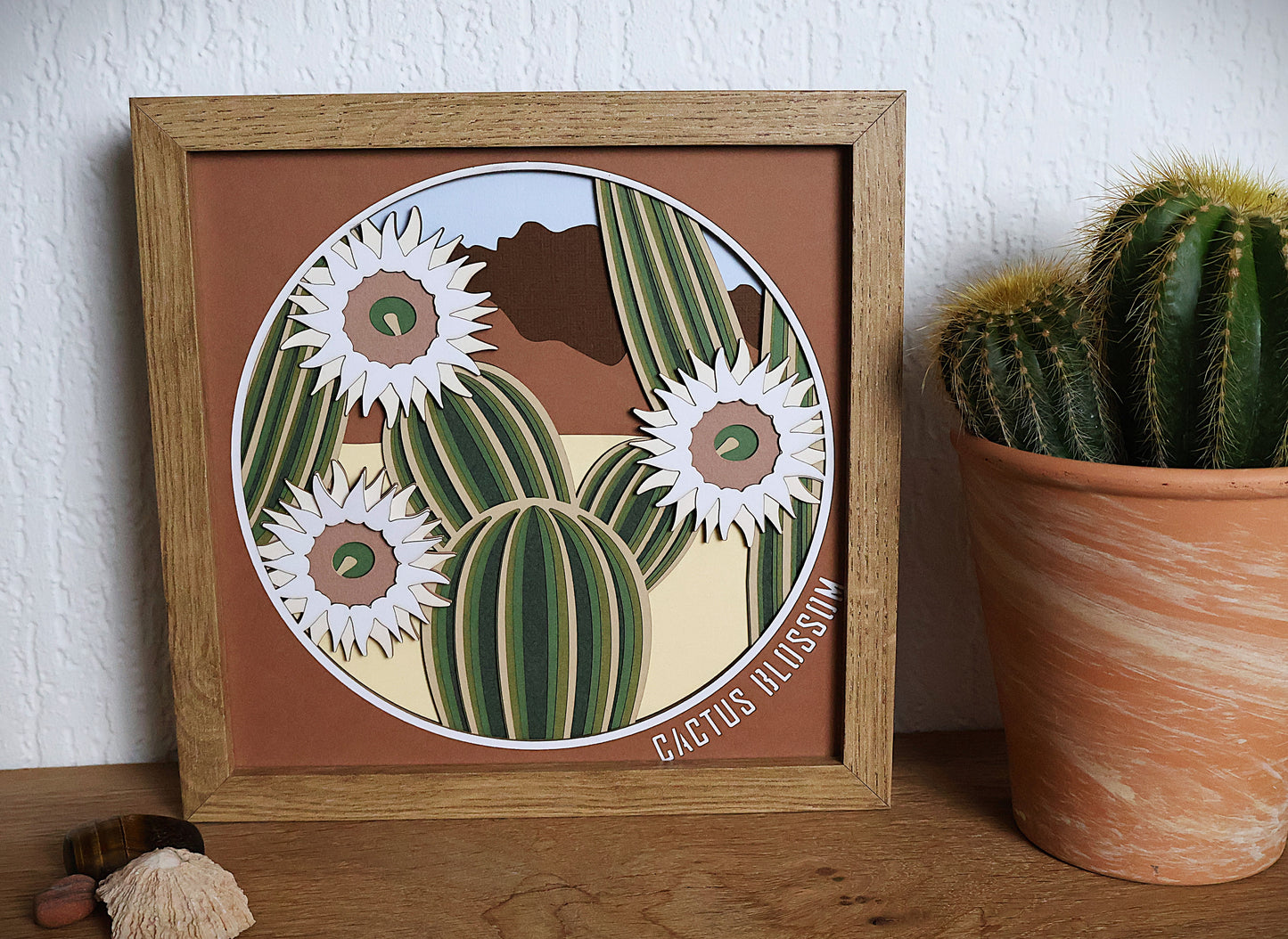 Fleurs de Cactus