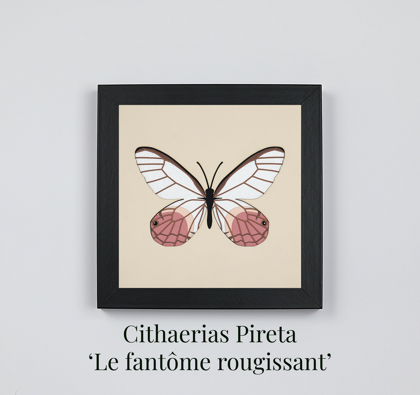 Lot de 2 tableaux Microcosmos