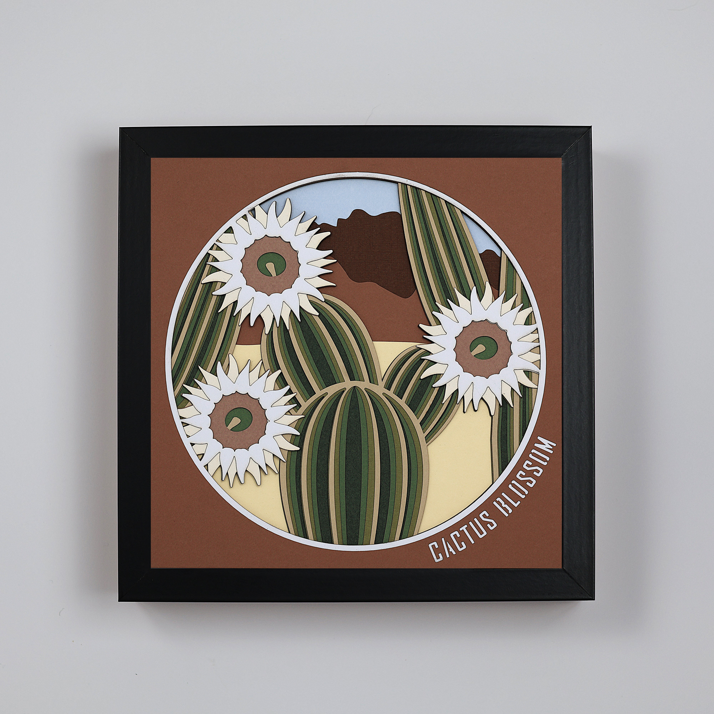 Fleurs de Cactus
