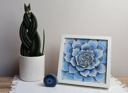 Echeveria