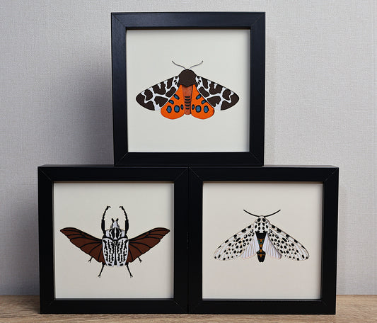Lot de 3 tableaux Microcosmos
