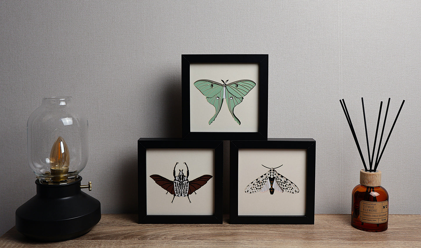 Papillon de lune