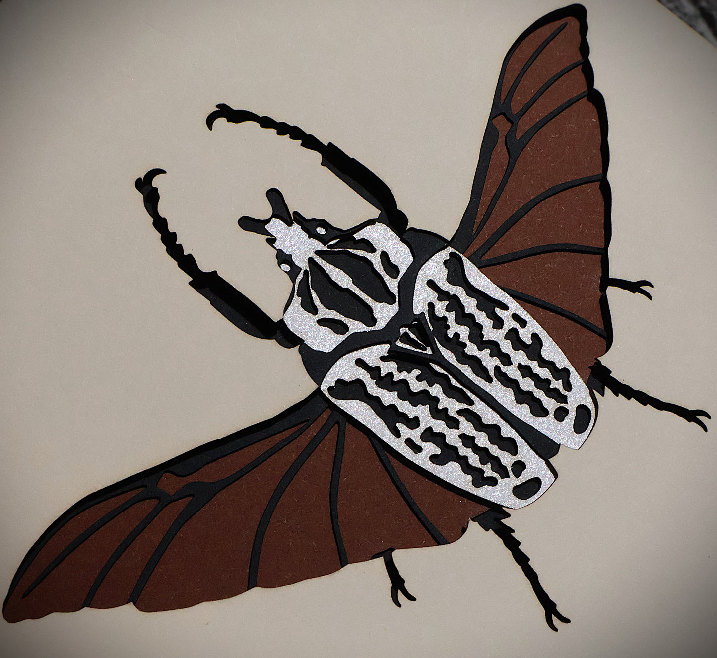 Goliathus Orientalis