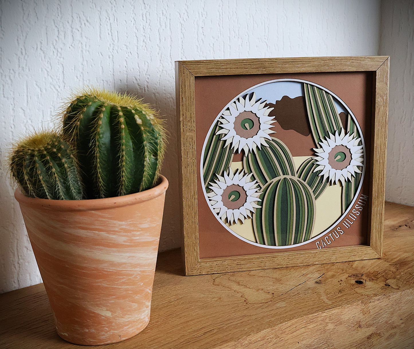 Fleurs de Cactus
