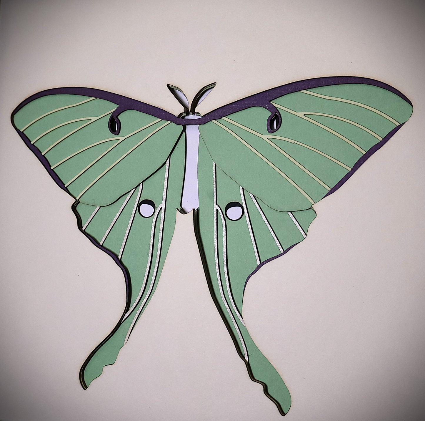 Papillon de lune