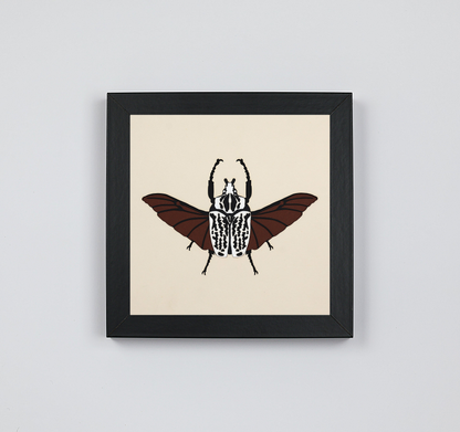 Goliathus Orientalis
