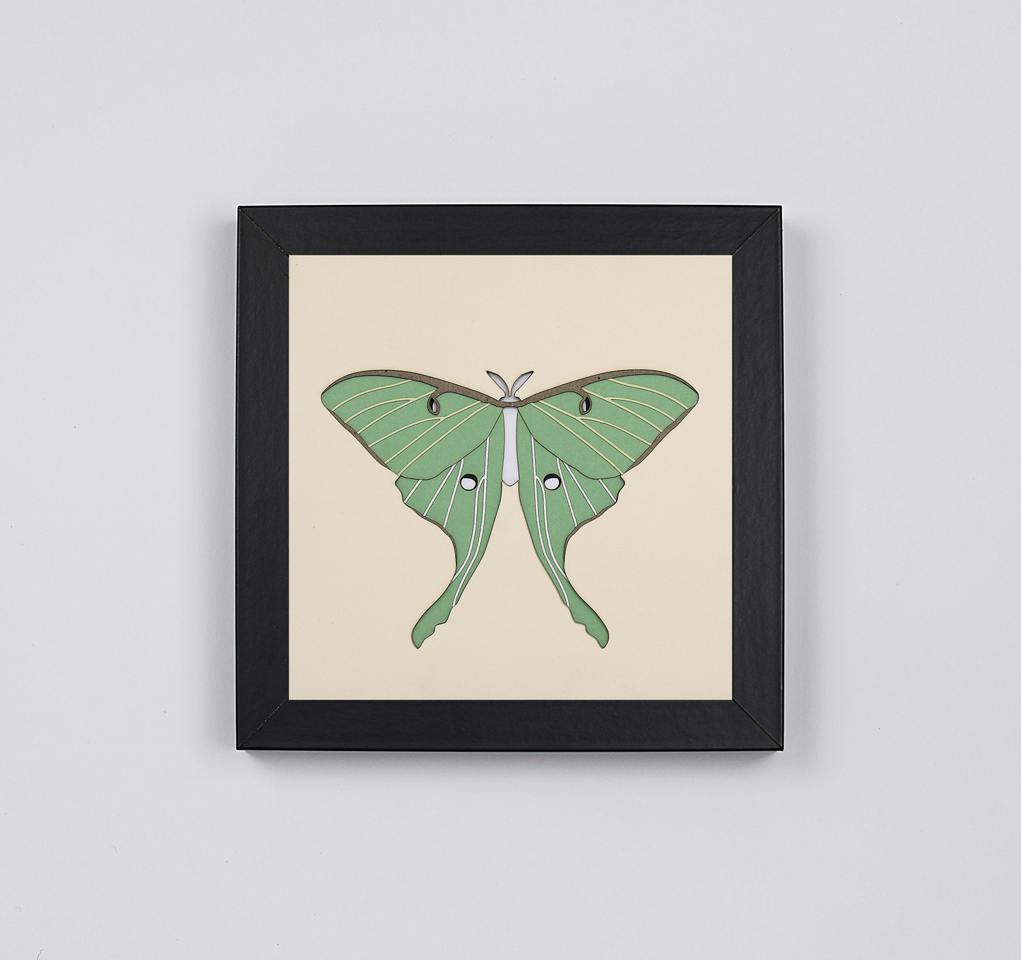 Papillon de lune