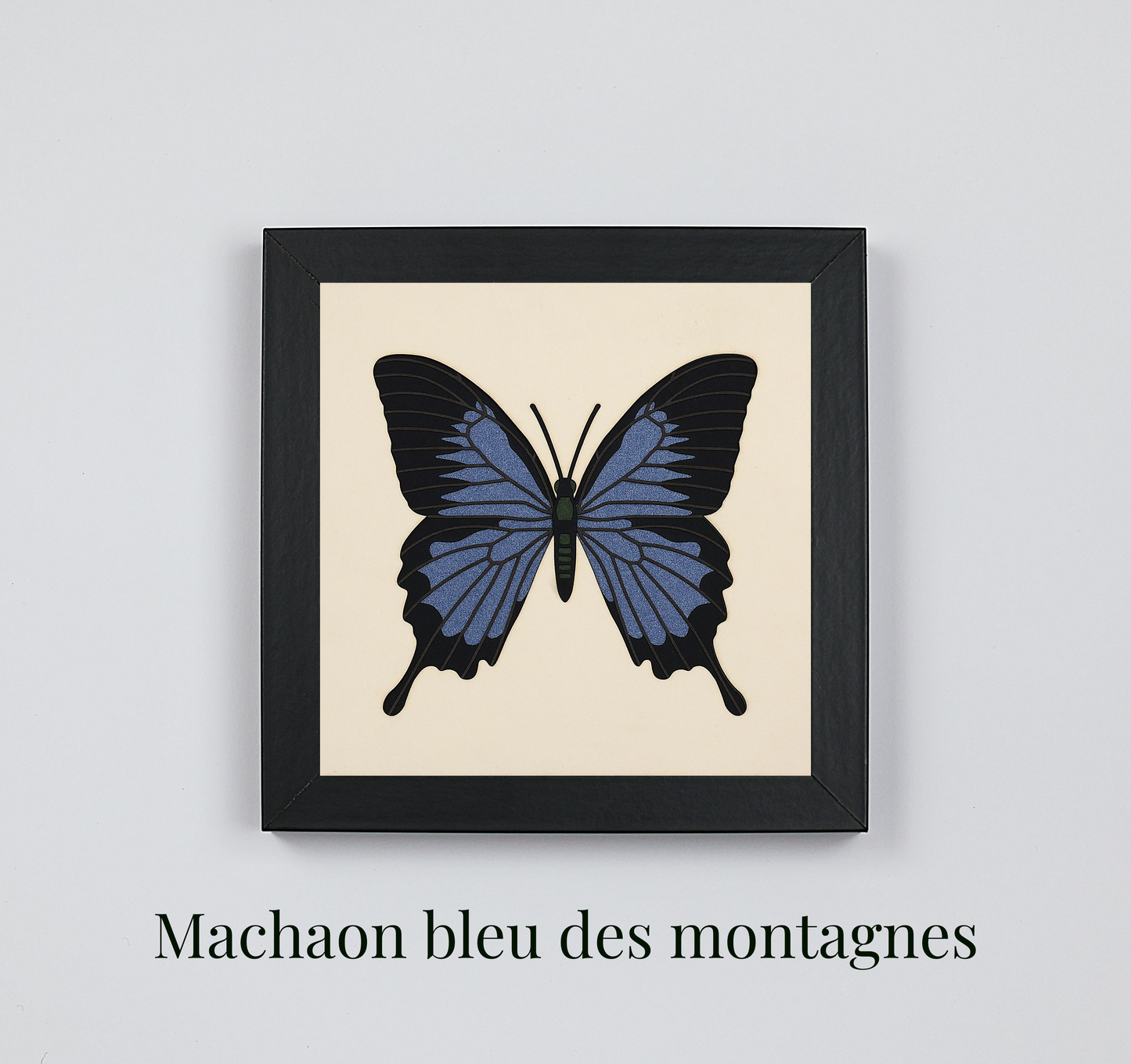 Lot de 2 tableaux Microcosmos