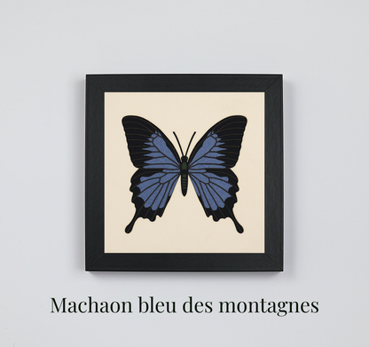 Lot de 2 tableaux Microcosmos